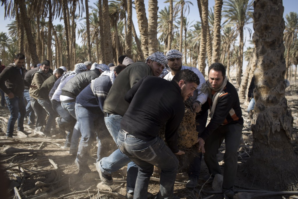 Des militants palestiniens travaillent pour nettoyer un espace à Ein Hijleh, village de protestation dans la vallée du Jourdain, en Cisjordanie, le 31 janvier 2014. Plus de 300 Palestiniens participent à l'action, qui fait partie de la campagne Melh Al-Ard (Le sel de la terre), contre le projet israélien d'annexation de la vallée du Jourdain, débattu pendant les négociations en cours entre les autorités palestiniennes et Israël, coordonnées par John Kerry.